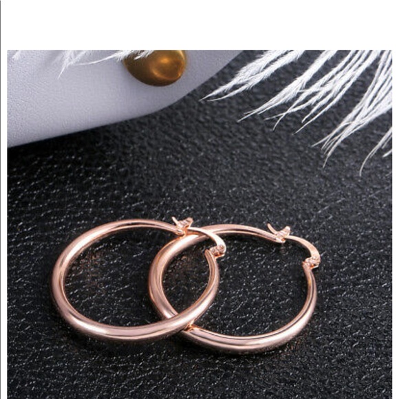 New Rose Gold Hoop Earrings for Women - Picture 4 of 6